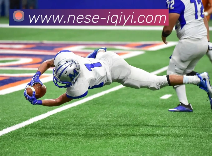 爱奇艺体育团队平台生态图